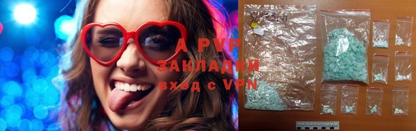 соль ск Ельня