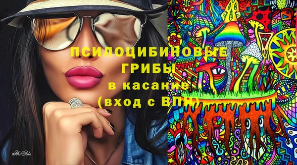 эйфоретик Елабуга