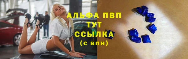соль ск Ельня