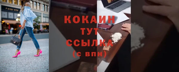 соль ск Ельня