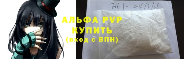 соль ск Ельня