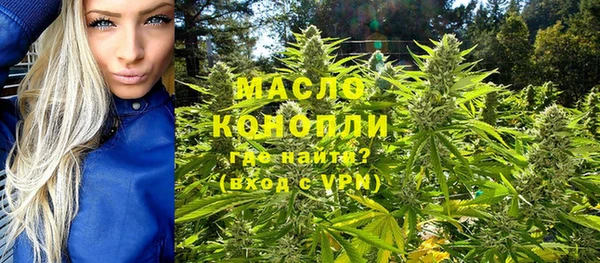 соль ск Ельня