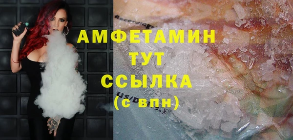соль ск Ельня