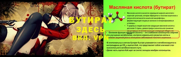 соль ск Ельня