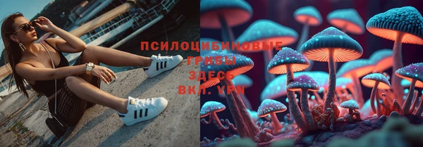 эйфоретик Елабуга