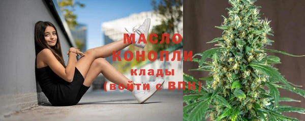 соль ск Ельня