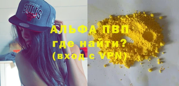 соль ск Ельня