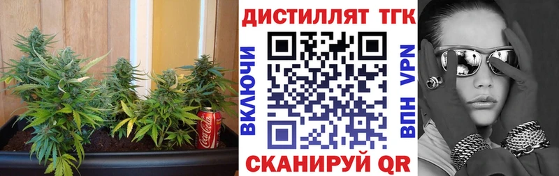 Купить  Новоуральск  ТГК концентрат 