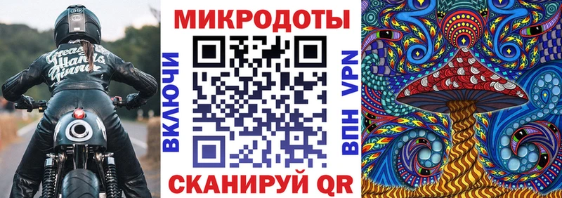 Купить закладки  Новоуральск  Псилоцибиновые грибы Psilocybine cubensis 